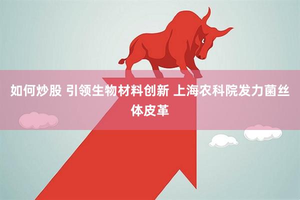 如何炒股 引领生物材料创新 上海农科院发力菌丝体皮革