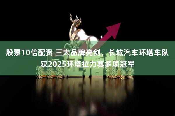 股票10倍配资 三大品牌亮剑，长城汽车环塔车队获2025环塔拉力赛多项冠军