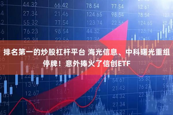 排名第一的炒股杠杆平台 海光信息、中科曙光重组停牌！意外捧火了信创ETF