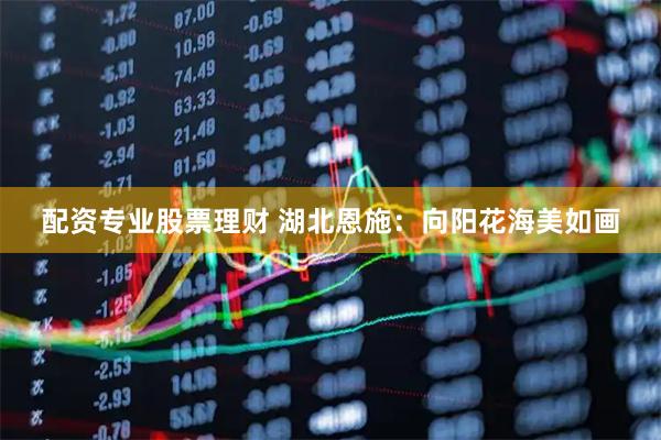 配资专业股票理财 湖北恩施：向阳花海美如画